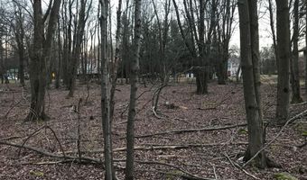 Lot 119 Mountain Rd, Albrightsville, PA 18210