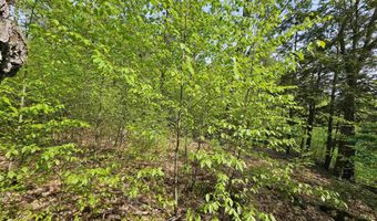 Province Road lot 26, Belmont, NH 03220