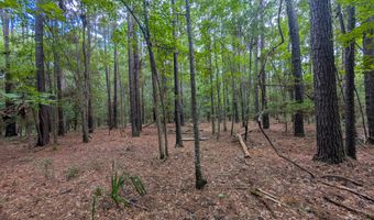 6154 Rudder Ln, Awendaw, SC 29429