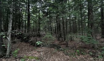 877 N Barnstead Rd, Barnstead, NH 03225