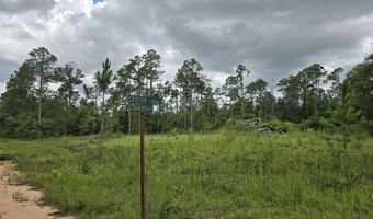 000 Crotan Dr, Alford, FL 32420