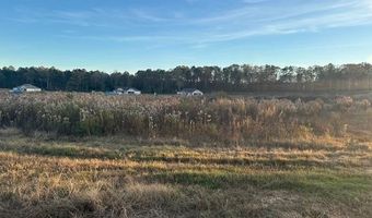 1009 Duke Dr, Bauxite, AR 72011