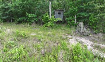 Low Water LN SW, Brookhaven, MS 39601