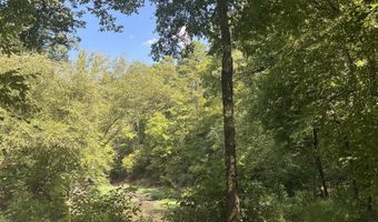 776 JOHN ASHLEY, Amity, AR 71921