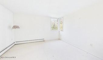 209 Larkspur Ln, Aspen, CO 81611