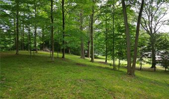 1341 Valley Dr, Akron, OH 44312