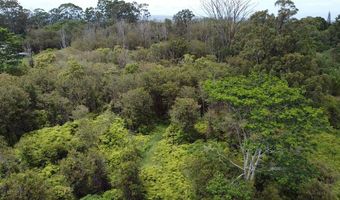 AINAOLA DRIVE, Hilo, HI 96720