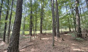 2435 Brignall Rd, Brookhaven, MS 39601