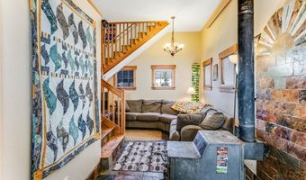 29 S Oak St, Alma, CO 80420
