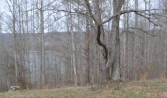 Fox Hill Road lot 4 & 5, Baxter, TN 38544