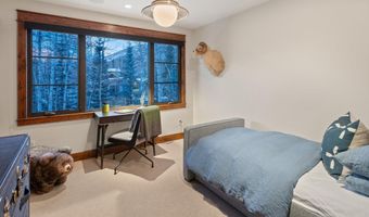 1345 Mayflower Ct, Aspen, CO 81611