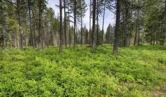 NNA Holmes Road Lot 1, Bonners Ferry, ID 83805