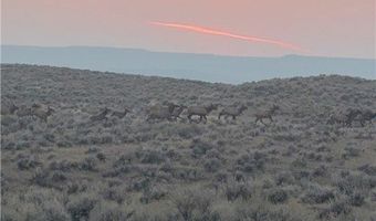300 Acres N Dry Creek Rd, Bridger, MT 59014