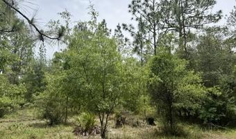 4850 NW 55th Ave, Bell, FL 32619