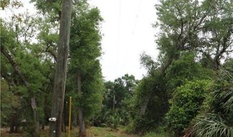 2998 SW Armadillo Trl, Arcadia, FL 34266