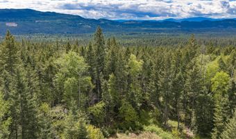 Nhn Red Hawk Drive, Bigfork, MT 59911