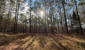 Beck Springs, Ashland, MS 38603