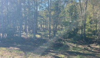 7 3 +- Acres Hwy 84, Ashford, AL 36312