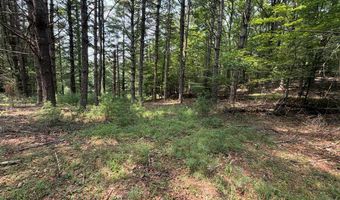 Hall Hollow Road, Austinville, VA 24312