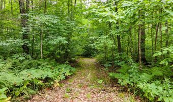 TBD Fishing Site # 2, Amasa, MI 49903