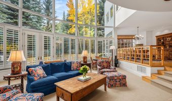 431 W Hopkins Ave, Aspen, CO 81611