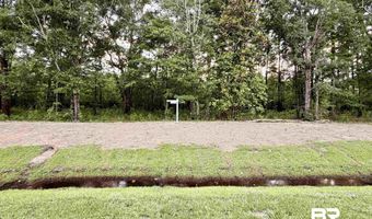 0 Pine Grove Rd Pine Grove Rd, Bay Minette, AL 36507