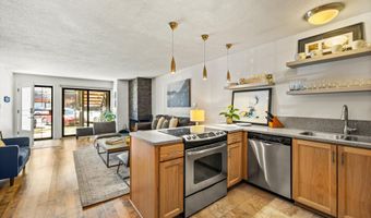 210 E Cooper Ave 1-C, Aspen, CO 81611