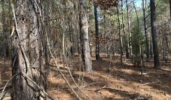 2423 Mill Creek Rd, Bethune, SC 29009