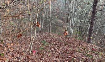 Kimiko Lane lot 43, Balsam Grove, NC 28708
