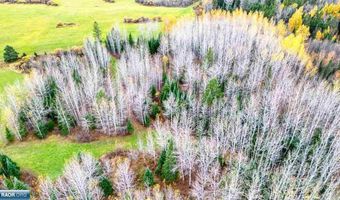 Fire # 10899 Hwy 22, Angora, MN 55703