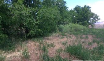 1075 Browne Ln, Fernley, NV 89408