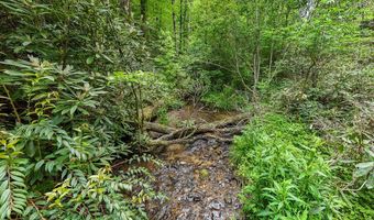 399 Shell Stand Rd, Almond, NC 28702