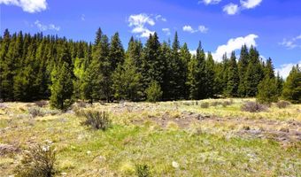 PCS # 10594 Looney Lane lot 0, Alma, CO 80420