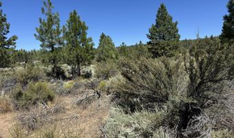 Bufflehead Drive 18, Bonanza, OR 97623