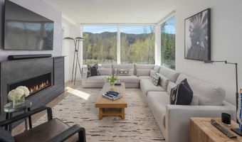 22856 Two Rivers Rd, Basalt, CO 81621