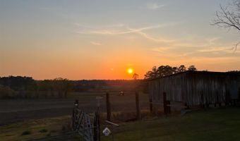 17387 Head Farm Rd, Andalusia, AL 36420