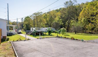 11504 Grapefield Rd, Bastian, VA 24314