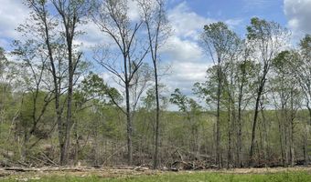State Hwy N Tract G, Ava, MO 65608