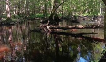 247 Horseshoe Trl, Barnwell, SC 29812