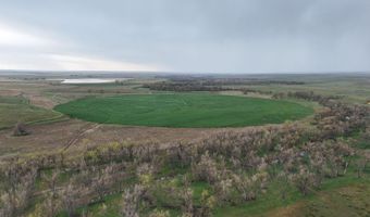 TBD County Road 170, Agate, CO 80101