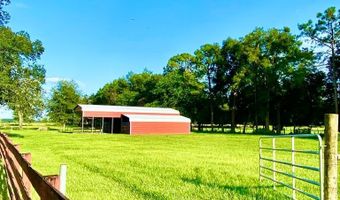 10 SW 50th Ave, Bell, FL 32619
