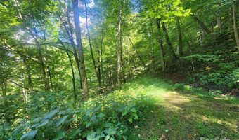 Jacks Knob Road, Barnardsville, NC 28709