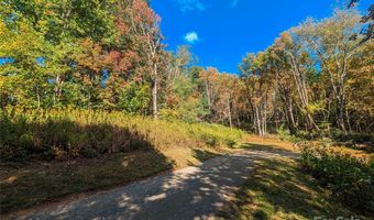 Nicholas Knoll 41, Bakersville, NC 28705