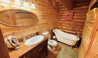 6402 Rustic Pine Trl, Alanson, MI 49706