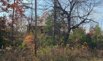 Wildway Rd, Appomattox, VA 24522