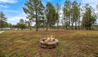 1955 Ricochet Ranch Rd, Clay Springs, AZ 85923