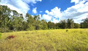 Eugene Ward Road, Adrian, GA 31002