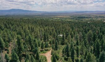 End of El Salto Road, Arroyo Seco, NM 87514