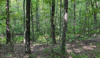 1055 42nd St, Allegan, MI 49010