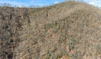 31 Reillys Bluff Rd 2, Barnardsville, NC 28709